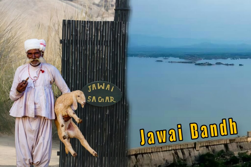 Top 5 places visit in Jawai Bandh – जवाई बांध मे घूमने की पाँच बेहतरीन जगह