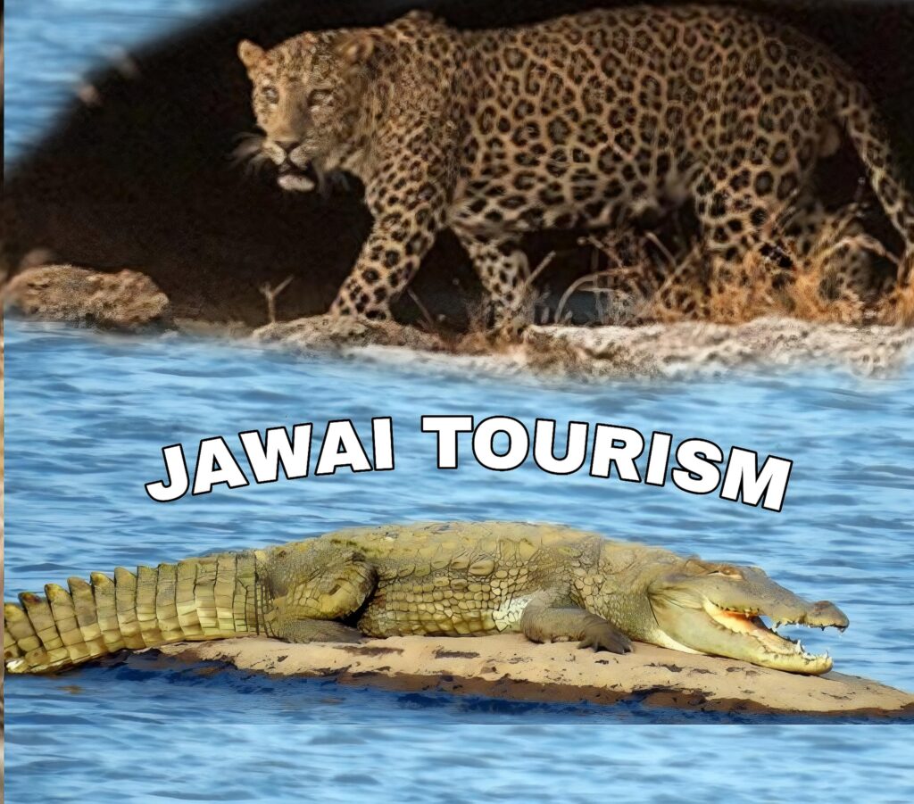 Jawai Tour Package 2025 ~ Jawai Rajasthan