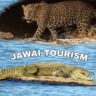 Jawai Tour Package 2025 ~ Jawai Rajasthan