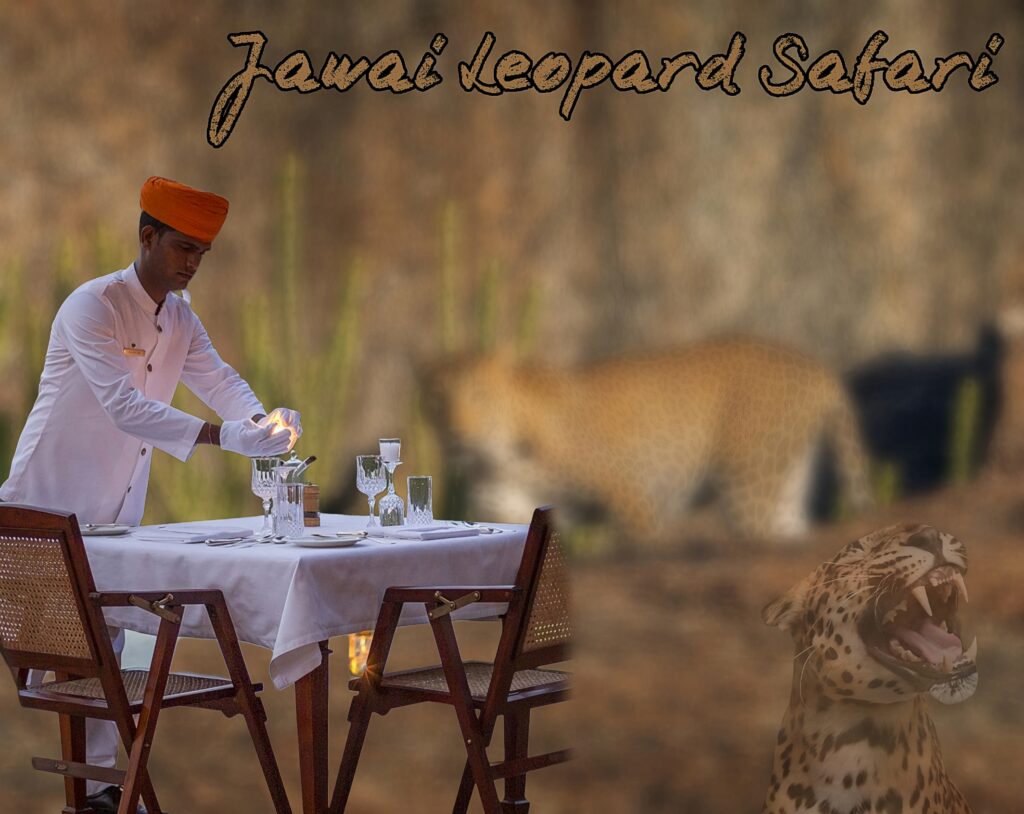 Top 8 Places to Visit in Jawai Bandh (2025)
