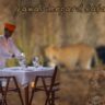 Top 8 Places to Visit in Jawai Bandh (2025)